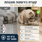 🐶 קערת האכלה מוגבהת – 15°, נירוסטה 304, מפחיתה הקאות וכאבי צוואר! 🦴✨