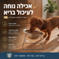🐶 קערת האכלה מוגבהת – 15°, נירוסטה 304, מפחיתה הקאות וכאבי צוואר! 🦴✨