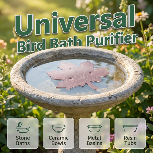 🌿מטהר אמבטיית ציפורים אוניברסלי🐦💦מטהר עלים בטוח לחיות בר למים נקיים וצלולים בכל אגן גינה | עמיד בפני חלודה ותחזוקה נמוכה🛡️✨